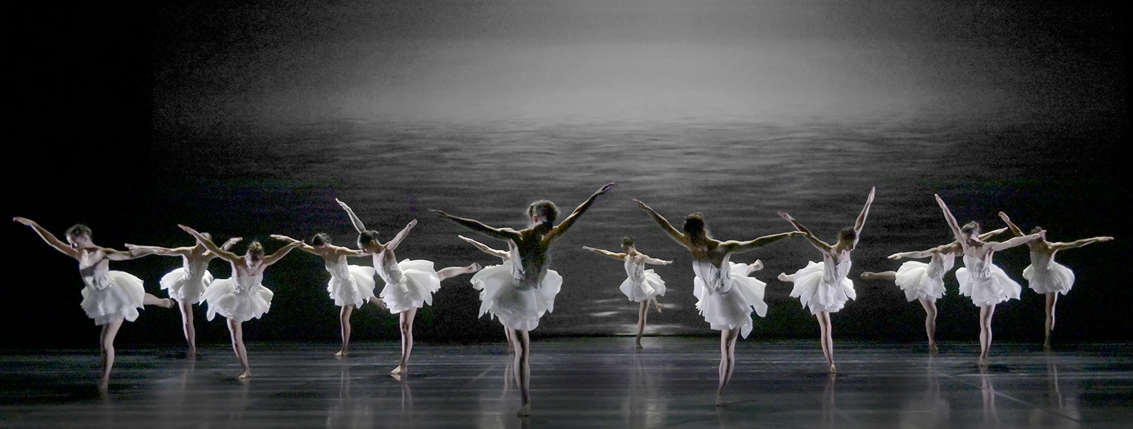 Le Lac des Cygnes © Jean-Claude Carbonne